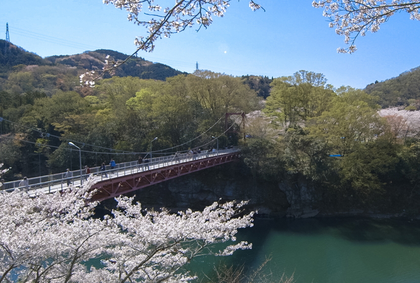 桜淵 さくらぶち 新城市のホテル 旅館 宿泊予約は新城観光ホテル 奥三河の宿