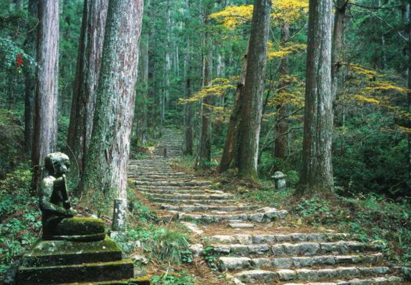 鳳来寺山 ほうらいじさん 新城市のホテル 旅館 宿泊予約は新城観光ホテル 奥三河の宿