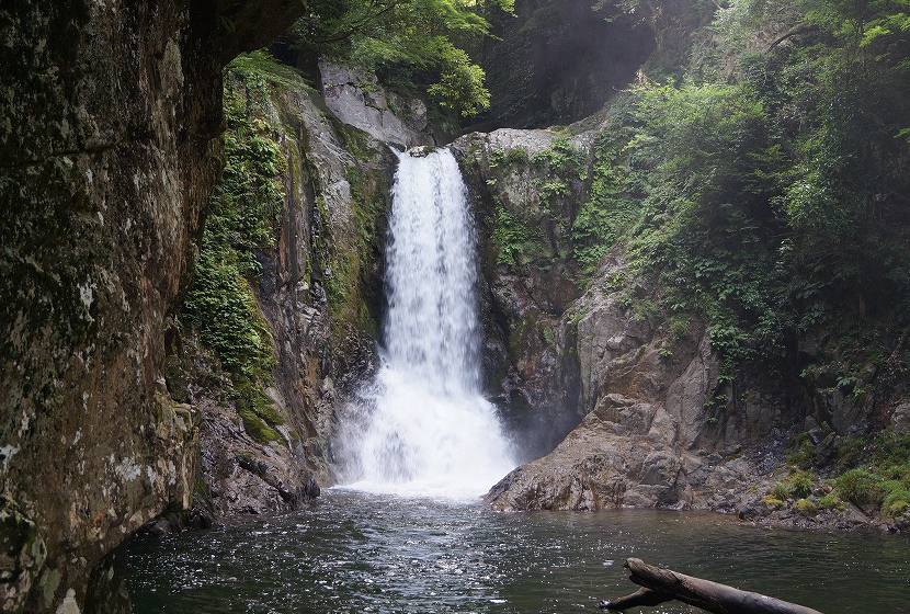 鳴沢の滝 なるさわのたき 新城市のホテル 旅館 宿泊予約は新城観光ホテル 奥三河の宿